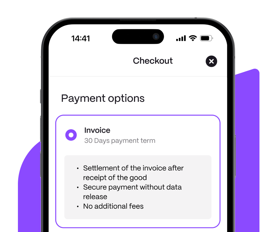 Payment Options B2B BNPL